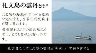 敬老の日 ギフト 最高級 北海道礼文島産の塩ウニ[エゾバフンウニ］60gx2本（計120g） 父の日 御中元 敬老の日 贈答用 日本三代珍味 うに 雲丹 プレゼント お歳暮 御歳暮【塩ウニ60gx2】 冷凍