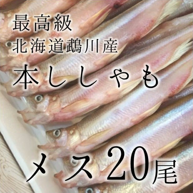 お中元 ギフト 干物ギフト 最高級 本ししゃも 特大サイズ 