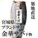 金華サバ 干物 三陸のブランドサバ！築地直送 キンカサバ 金華鯖【金華サバ】 冷凍