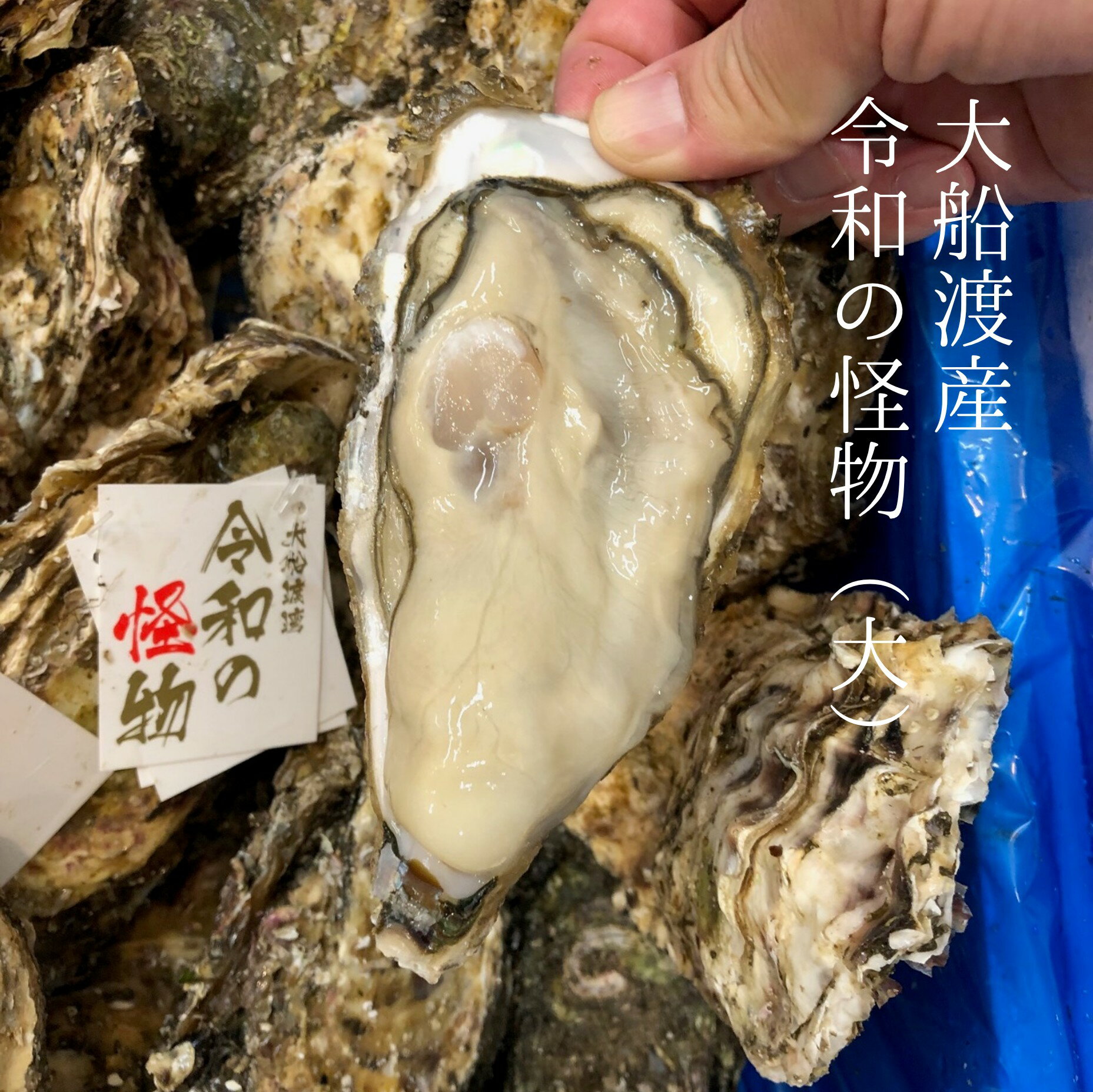特上 殻付き牡蠣 令和の怪物 生食用 真牡蠣 計5個入（中サイズ・大サイズ） 岩手県大船渡産【令和の怪物x5個】豊洲直送 冷蔵