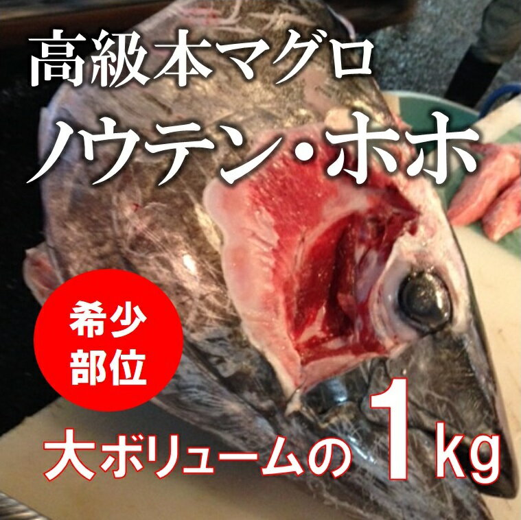 国産 本マグロの希少部位（ホホ肉