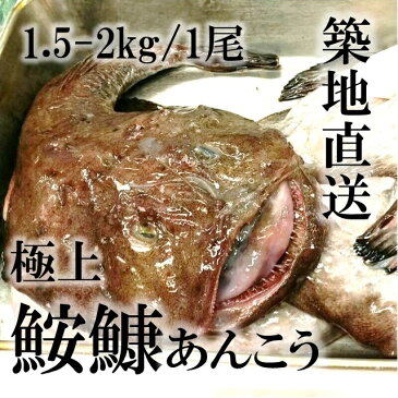 生鮟鱇 極上アンコウ 絶品！北海道産・青森県産 他 アンコウ鍋用 約1.5kg-2kg［豊洲直送］贈答 グルメ 鮮魚 あんこう鍋【鮟鱇1.5-2K】 冷蔵