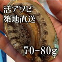 高級活アワビ 70-80g 5個 海鮮 バーベ