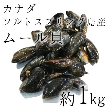 活けムール貝 生 最高級 カナダソルトスプリング島産 空輸 約1kg 築地直送【カナダ産ムール1K】