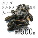 活けムール貝 生 最高級 カナダソルトスプリング島産 空輸 約500g 豊洲直送【カナダ産ムール500g】 冷蔵