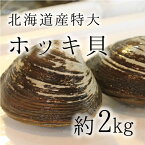 活けホッキ貝 北海道産 約500g/個 計2kg 豊洲直送 高級貝類 北寄貝 ウバガイ【hokkigai2kg_ホッキ貝2K（4個）】 冷蔵