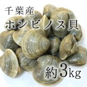 ホンビノス貝 大アサリ 白ハマグリ 3キロ 約80-90g 大サイズ!BBQに最適!豊洲直送 千葉 愛知 他 バーベキュー 海鮮 BBQ【ビノス3K】 冷蔵
