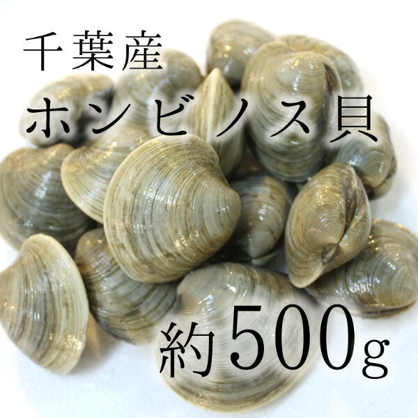 ホンビノス貝 大アサリ 白ハマグリ 500g 約80-90g 大サイズ！BBQに最適！豊洲直送 千葉　愛知 他 バーベキュー 海鮮 BBQ【honbinosu500..