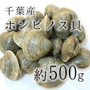 ホンビノス貝 大アサリ 白ハマグリ 500g 約80-90g 大サイズ！BBQに最適！豊洲直送 千葉　愛知 他 バーベキュー 海鮮 BBQ 冷蔵