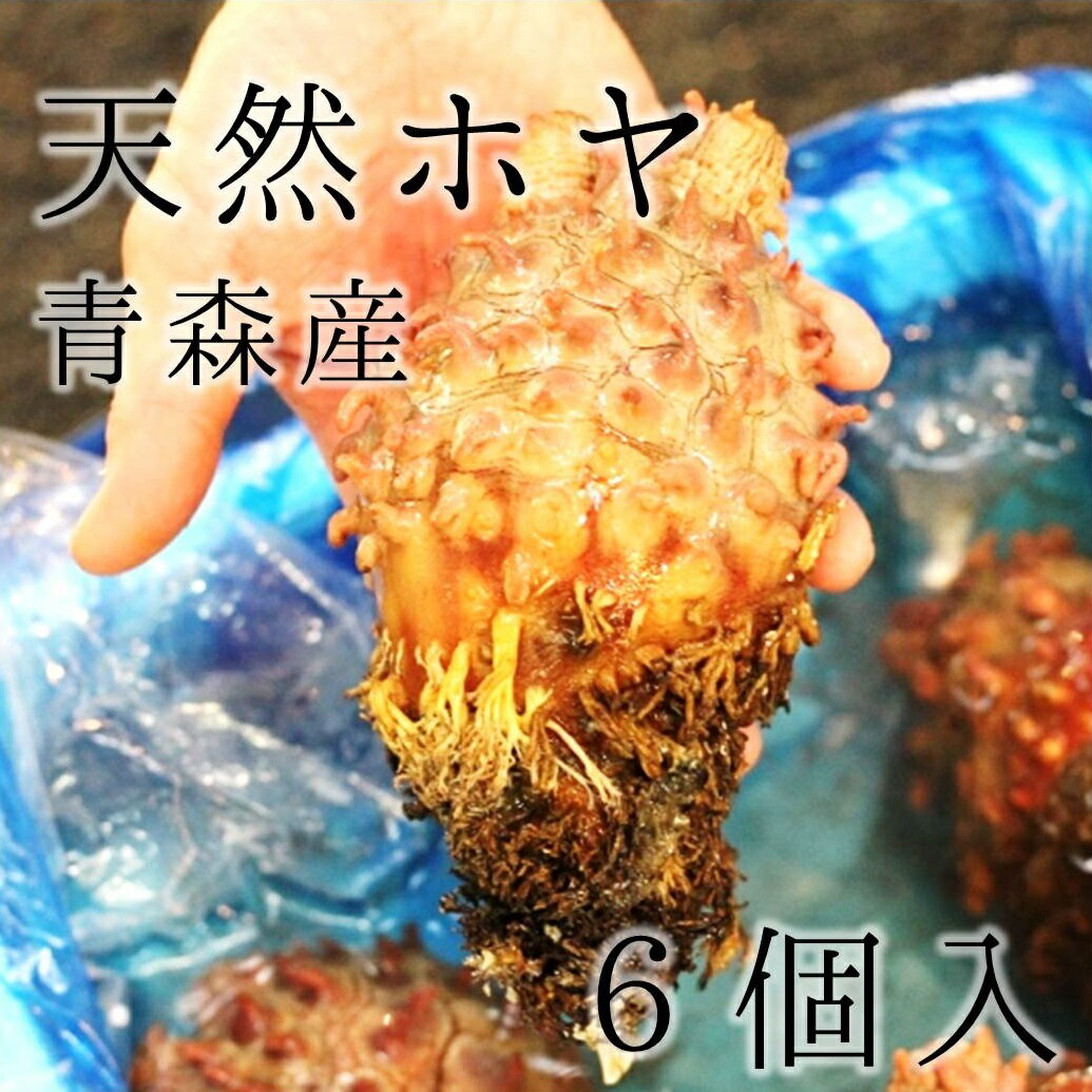 青森県産天然ホヤをお届け！根っこまでまるまると太った特大サイズとなります！養殖ものではこの大きさはみられません！ 海の旨味を凝縮した豊かな磯の香りをお楽しみいただけます。刺身を酢醤油でいただくと美味！焼きホヤにするものおススメです。今が旬ですので、お早めのご注文お待ちしております！ ●商品詳細 ・産地：青森県産他 ・内容量：6個(450〜550g/1個） ・賞味期限：生ものなので、できるだけ早く召し上がって下さい ●注意事項 1. 入荷状況に応じて提供ができない時もあり、原則日時指定は受付ておりません。もし日時指定欄をご記入頂いた際は、ご希望日時として受付させて頂きます。尚、特別なご連絡が無い限り、入荷次第出荷させて頂きます。また日時に関してご相談がある場合、お気軽にご連絡頂ければと思います。 2. 写真について. 写真はイメージであり、個体差もある為、実際の商品とは多少異なる場合があります。 3. 個人の感覚の違いによる食感・味覚・見た目に関するクレームは一切受付けておりませんので、予めご了承下さい。 ●送料について 送料は950円となります。ご注文金額が1万円以上の場合、送料無料となります！ **原則「翌日配送地域」のみのご提供ですが、魚種に応じては対応致しますのでご相談下さい。 その場合、送料は北海道・九州+250円、沖縄+2050円となります。 商品説明 名称 ホヤ 内容量 6個（500-600g/個） 産地名 青森県他 養殖/解凍 天然 保存方法 冷蔵環境に保管下さい　