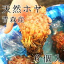 青森県産天然ホヤをお届け！根っこまでまるまると太った特大サイズとなります！養殖ものではこの大きさはみられません！ 海の旨味を凝縮した豊かな磯の香りをお楽しみいただけます。刺身を酢醤油でいただくと美味！焼きホヤにするものおススメです。今が旬ですので、お早めのご注文お待ちしております！ ●商品詳細 ・産地：青森県産他 ・内容量：6個(450〜550g/1個） ・賞味期限：生ものなので、できるだけ早く召し上がって下さい ●注意事項 1. 入荷状況に応じて提供ができない時もあり、原則日時指定は受付ておりません。もし日時指定欄をご記入頂いた際は、ご希望日時として受付させて頂きます。尚、特別なご連絡が無い限り、入荷次第出荷させて頂きます。また日時に関してご相談がある場合、お気軽にご連絡頂ければと思います。 2. 写真について. 写真はイメージであり、個体差もある為、実際の商品とは多少異なる場合があります。 3. 個人の感覚の違いによる食感・味覚・見た目に関するクレームは一切受付けておりませんので、予めご了承下さい。 ●送料について 送料は950円となります。ご注文金額が1万円以上の場合、送料無料となります！ **原則「翌日配送地域」のみのご提供ですが、魚種に応じては対応致しますのでご相談下さい。 その場合、送料は北海道・九州+250円、沖縄+2050円となります。 商品説明 名称 ホヤ 内容量 6個（500-600g/個） 産地名 青森県他 養殖/解凍 天然 保存方法 冷蔵環境に保管下さい　