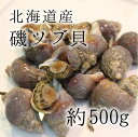 活イソツブ 活磯ツブ ツブ貝 北海道産 高級貝類 500g ［料亭等で使用する質］豊洲直送 朝一入荷した鮮度抜群の【isotsubu500g_磯ツブ500g】 冷蔵