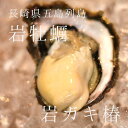 岩牡蠣 椿 長崎県五島列島(生食用殻付き) 計10個(約170〜230g/1個・小〜中サイズ)豊洲直送 ギフト ツバキ つばき 鮮魚 養殖岩牡蠣【ツバキ10個】...