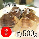 天然 地はまぐり 生（活け）特大サイズ（約100g/個）約...