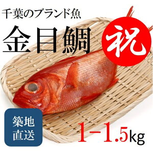 最高級 金目鯛 千葉産［豊洲直送］地金目 1-1.5kg/尾 キンメダイ 鮮魚 贈答用 ギフト お中元【kinmedai_千葉産キンメダイ1-1.5K】 冷蔵