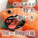 キンキ 特大サイズ 約700-800g (豊洲直送)北海道網走/知床産 きんき ギフト 贈答用 お中元 釣りキンキ【生釣りキンキ700-800g】 冷蔵