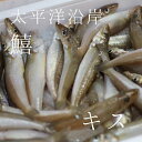 特選 キス 1kg/1尾50〜60g 太平洋沿岸 豊洲直送 鱚 鮮魚 冷蔵