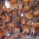 生 クロバイ 黒バイ 本バイ貝 500g 山陰産 他　豊洲直...