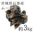 活けムール貝 生 中～大サイズ混合 石巻宮城産 約3kg ...