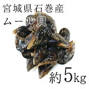 活けムール貝 生 中～大サイズ混合 石巻宮城産 約5kg ...