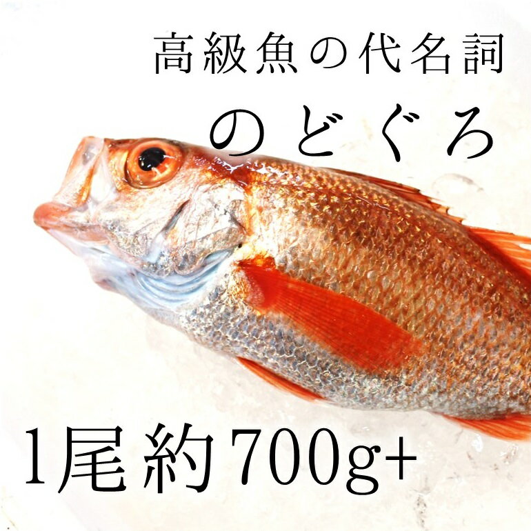のどくろ刺身定食 海鮮丼メニューも人気 新潟市 中央食堂 新潟県 Umaburo