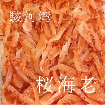 桜エビ 桜海老 静岡駿河湾産 刺身OK 約500g 豊洲直送 冷凍 旬の春の魚【冷凍桜エビ500g】