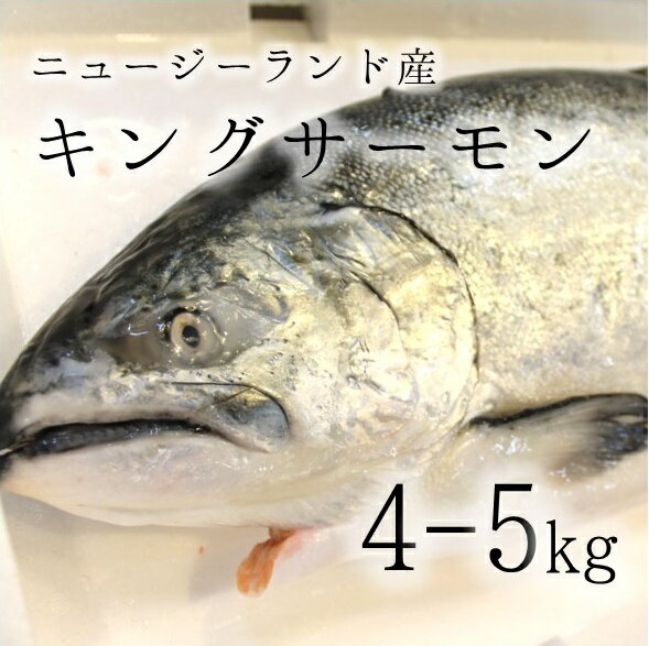 キングサーモン ニュージーランド産 他 丸一本 豊洲直送 4-5kg 腹抜き 内臓抜き 【NZ産キングサーモン4-5K】 冷蔵