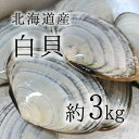 ＜水産物応援商品・送料無料＞白貝 豊洲直送 北海道産 約3kg 約50-60g/1枚 シロガイ サラガイ バター焼き旨し【shirogai-3kg 白貝3K】 冷蔵