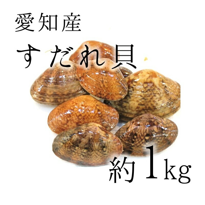 天然すだれ貝 活 愛知産他 スダレ貝 約1kg［豊洲直送］甘味が強い旨い貝！希少性の高い貝 冷蔵