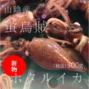 ホタルイカ 新物 山陰産 約300g ボイルホタルイカ 豊洲直送 蛍烏賊 冷凍ではありません 春の風物詩【山陰産ボイルホタルイカ300g】 冷蔵