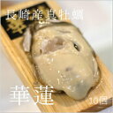 真牡蠣 華蓮 殻付き牡蠣 生食用カキ 長崎小長井産 （50-80g/1個） 10個 豊洲直送 かき カキ かれん カレン 動画有 冷蔵