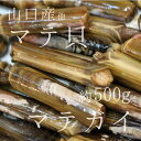 マテ貝 生 約500g 国産（山口県産 他） 豊洲直送 旬の貝類　マテガイ【マテ貝500g】 冷蔵