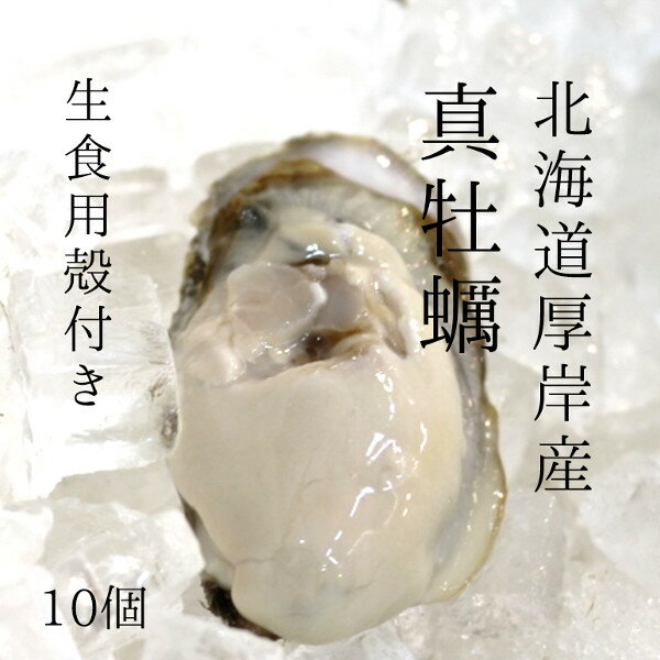 殻付き牡蠣　厚岸産 北海道 生食用 100-120g/個（Lサイズ） 計10個 真牡蠣 カキ かき【akkeshi-10_厚岸牡蠣100-120gx10個】 冷蔵