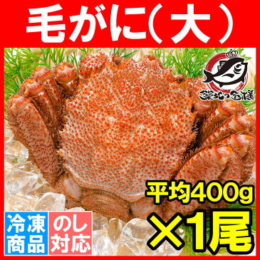 毛ガニ 毛蟹 浜茹で毛がに姿 平均400g前後×1尾 ボイル 冷凍 北海道産 最高級 堅蟹 身もカニ味噌もぎっしり!築地の正規品堅ガニ【かに カニ 蟹 カニ鍋 かに味噌 築地市場 豊洲市場 ギフト】rns