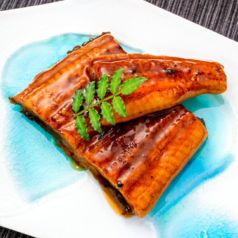 送料無料 うなぎ蒲焼き 100g ×10パック 合計1kg うなぎ 鰻 ウナギ 土用の丑 うな丼 うな重 ひつまぶし カット済み 個包装 食べきりサイズ ギフト 豊洲市場