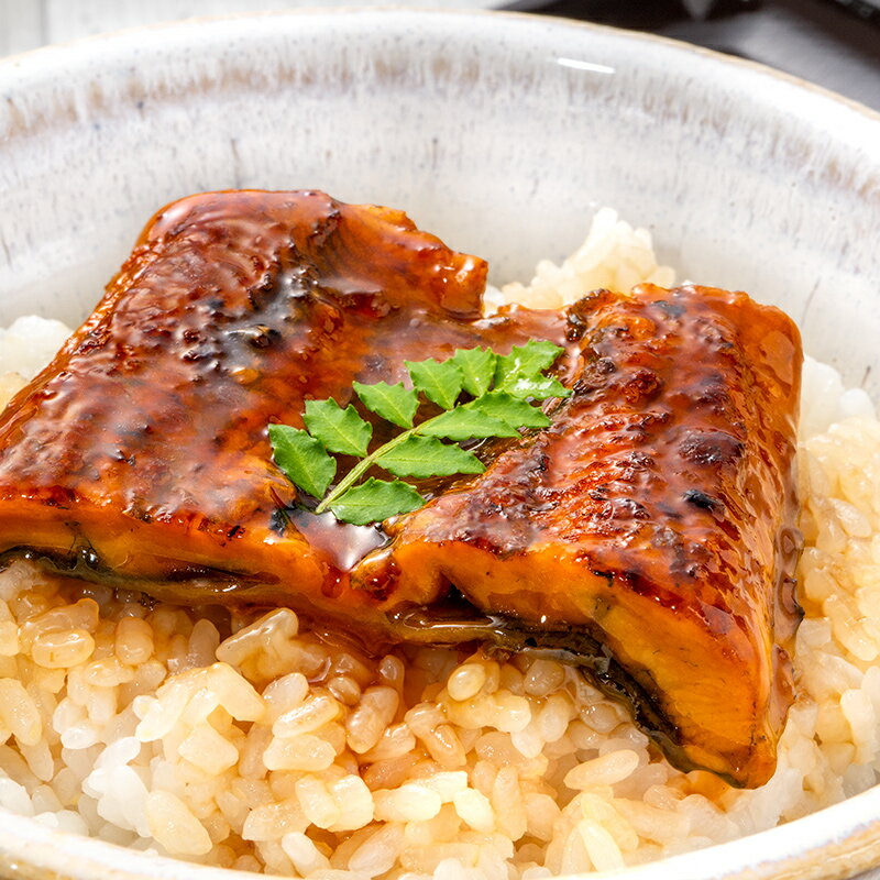 送料無料 うなぎ蒲焼き 100g ×10パック 合計1kg うなぎ 鰻 ウナギ 土用の丑 うな丼 うな重 ひつまぶし カット済み 個包装 食べきりサイズ ギフト 豊洲市場