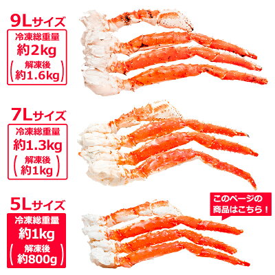 送料無料 タラバガニ たらばがに 極太 5Lサイズ 1kg ×2肩セット 冷凍総重量 2kg 前後 正規品 ボイル冷凍 脚 足 肩セクション シュリンク包装 たらば蟹 タラバ かに カニ 蟹 築地市場 豊洲市場 カニ鍋 焼きガニ ギフト 贈答用 お歳暮 おせち 単品おせち - Image 3