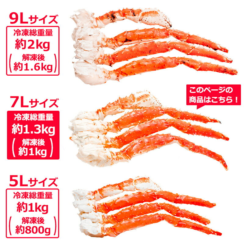 送料無料 タラバガニ たらばがに 超極太7Lサイズ 13kg前後 冷凍総重量1.3kg×10肩セット 正規品 ボイル冷凍 足 肩セクション シュリンク包装 かに カニ 蟹 たらば蟹 タラバ蟹 築地 カニ鍋 焼きガニ 脚 ギフト 贈答用 お歳暮 おせち 単品おせち