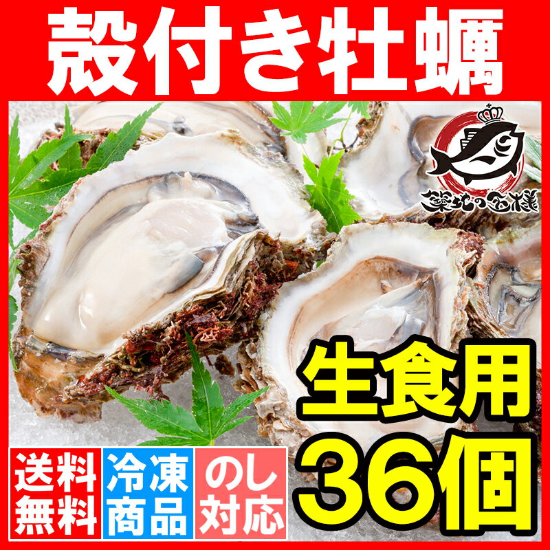 【送料無料 生牡蠣 殻付き 生食用カキ】生牡蠣 36個入り 冷凍殻付き牡蠣 生食用 新製法で冷凍なのに生食可能な殻付き牡蠣【冷凍 生ガキ かき カキ 牡蛎 焼き牡蠣 バーベキュー 牡蠣鍋 カキフライ 牡蠣フライ 築地市場 豊洲市場 ギフト】【smtb-T】r