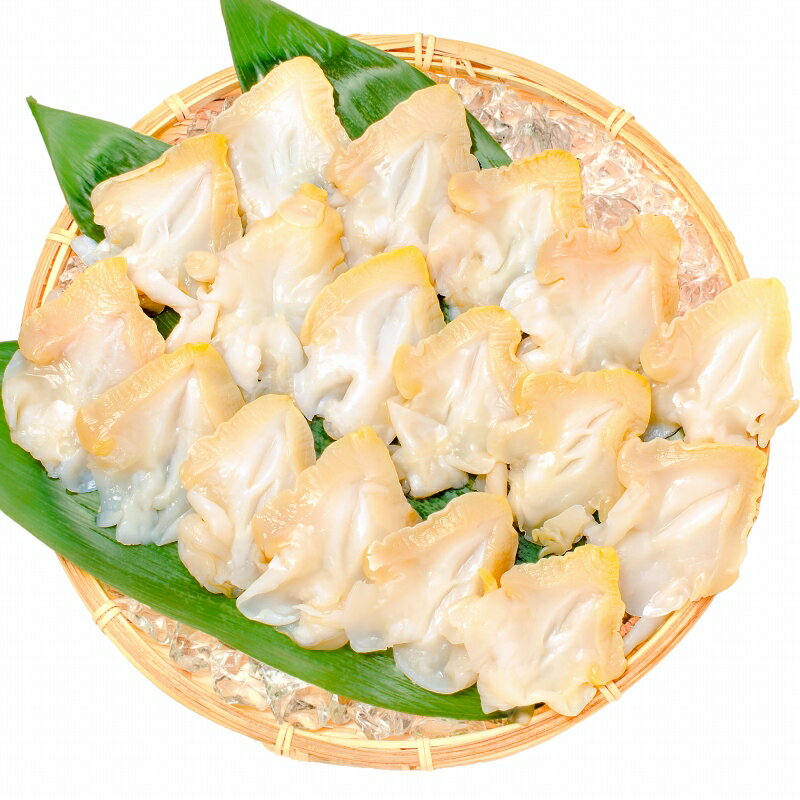 送料無料 つぶ貝 ツブ貝 開き 500g 肉厚な大サイズ お刺身 寿司用ツブ貝開き。銀座のお寿司屋さんにも卸しています。この旨さはまさに最上級 貝柱 貝 築地市場 豊洲市場 刺身 寿司 海鮮 ギフト