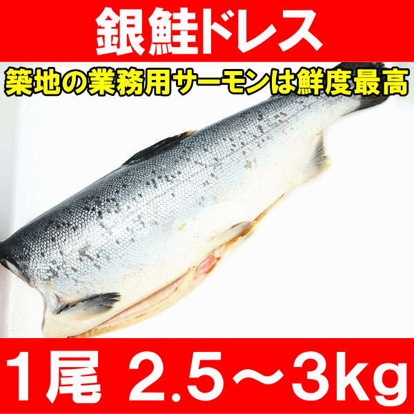 銀鮭ドレス 生 甘口 2.5〜3kg前後 頭を落とした1尾分！鮭カマも鮭ハラスもあります【サーモン チリ産 鮭 しゃけ さけ サケ ちゃんちゃん焼き 業務用 メガ盛り バーベキュー 鮭レシピ 鮭料理】【楽ギフ_のし】r