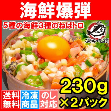 【海宝漬 送料無料】海鮮ねばねばぶっかけ爆弾 230g×2 約4人前 【海鮮丼 海鮮爆弾 海宝漬け 海鮮惣菜 本まぐろ つぶ貝 サーモン ほたて いくら 長いも おくら がごめ昆布 北海道 築地市場 豊洲市場 ご飯のお供 おつまみ 寿司 海鮮ちらし 刺身 ギフト】