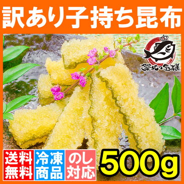 【送料無料】訳あり 子持ち昆布 切り落とし 味付け両面子持ち昆布 500g 上品な白醤油味でさっぱりとした高級感。塩抜き不要！【子持昆布 天然子持ち昆布 数の子 こんぶ 串揚げ フライ 惣菜 おかず 珍味 おせち料理 寿司ネタ 築地市場 豊洲市場 ギフト】rn