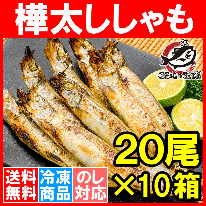 送料無料 子持ちししゃも 子持ちからふとししゃも 大サイズ 1箱20尾 ×10箱 業務用 【ししゃも シシャモ 樺太シシャモ カラフトシシャモ ノルウェー産 子持ちししゃも 柳葉魚 カルシウム 焼魚 食べる小魚 酒の肴 築地市場 豊洲市場 ギフト】rn