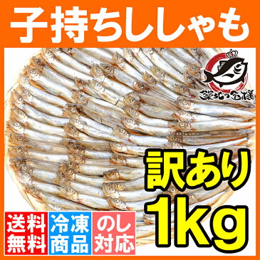 送料無料 訳あり ししゃも 子持ちシシャモ 業務用 1kg 樺太シシャモ カラフトシシャモ カペリン 柳葉魚 ノルウェー・カナダ産 中国加工 ししゃもフライ 唐揚げ 訳アリ わけあり ワケアリ 築地市場 豊洲市場 ギフト【smtb-T】rn