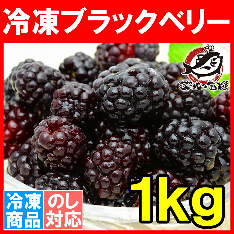 冷凍ブラックベリー 1kg 500g×2パック 弾けるブラックベリーをたっぷりと！【ブラックベリー 冷凍ブラックベリー 完熟ブラックベリー 冷凍フルーツ 冷凍デザート 冷凍食品 業務用 ヨナナス スムージー】r