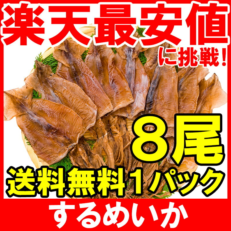 1000円ポッキリ メール便 送料無料 するめいか スルメイカ 8枚入り 北海道産 無塩 無添加 干物 するめ スルメ イカ いか 烏賊 真イカ あたりめ 干しイカ 業務用 おつまみ 珍味 乾物 酒の肴 smtb-T【常温商品】rn