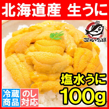 塩水 ウニ 北海道産生うに100g 日時指定 同梱 のし不可 うに丼約2杯分！入荷後、順次発送【うに ウニ うに丼 ウニ丼 海鮮丼 うにパスタ うにスパゲッティ うに軍艦 手巻き寿司 寿司ねた 築地市場 ギフト】r