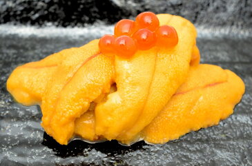 【送料無料】うに 冷凍生うに 無添加 100g×2パック 最高級Aグレード。うに丼約4杯分のお試しサイズ【ウニ ウニ丼 刺身 うにパスタ うにスパゲッティ うに軍艦 いちご煮 海鮮丼 手巻き寿司 寿司ねた 築地市場 ギフト】【楽ギフ_のし】【あす楽】rn