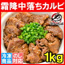 中落ち カルビ 牛カルビ 焼肉 合計 1kg 500g×2パック 業務用 味付け カルビ肉 牛肉 肉 お肉 熟成牛 熟成肉 霜降 アメリカ産 カナダ産 鉄板焼き ステーキ BBQ バーベキュー お中元 お歳暮 築地市場 豊洲市場 ギフト 2